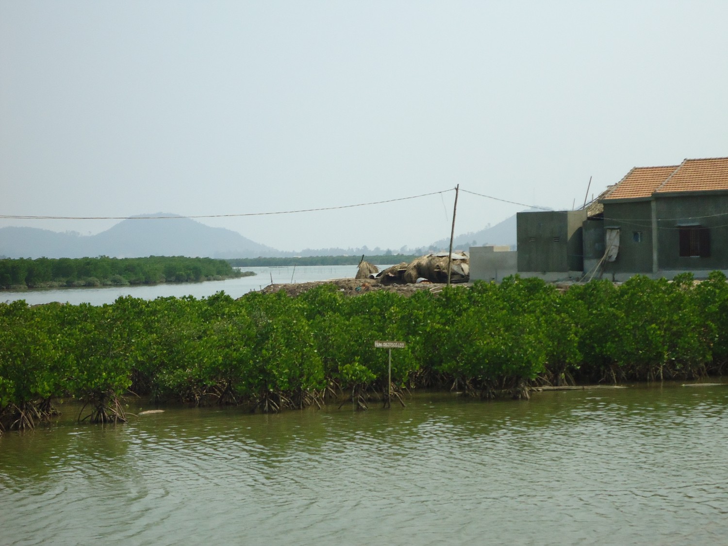 Cách nào để hạn chế ảnh hưởng của biến đổi khí hậu đến nuôi trồng  thủy sản ở Nghệ An