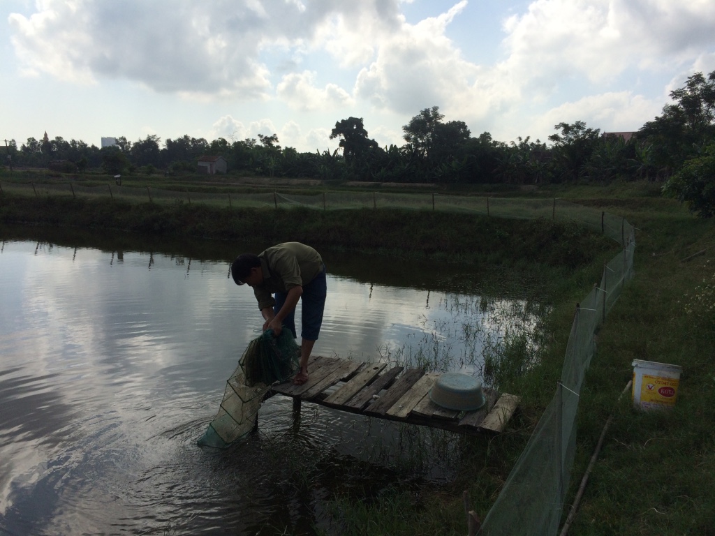 Đa dạng hóa đối tượng nuôi thủy sản mặn lợ góp phần phát triển một cách bền vững Bài, ảnh:  Nguyễn Hải