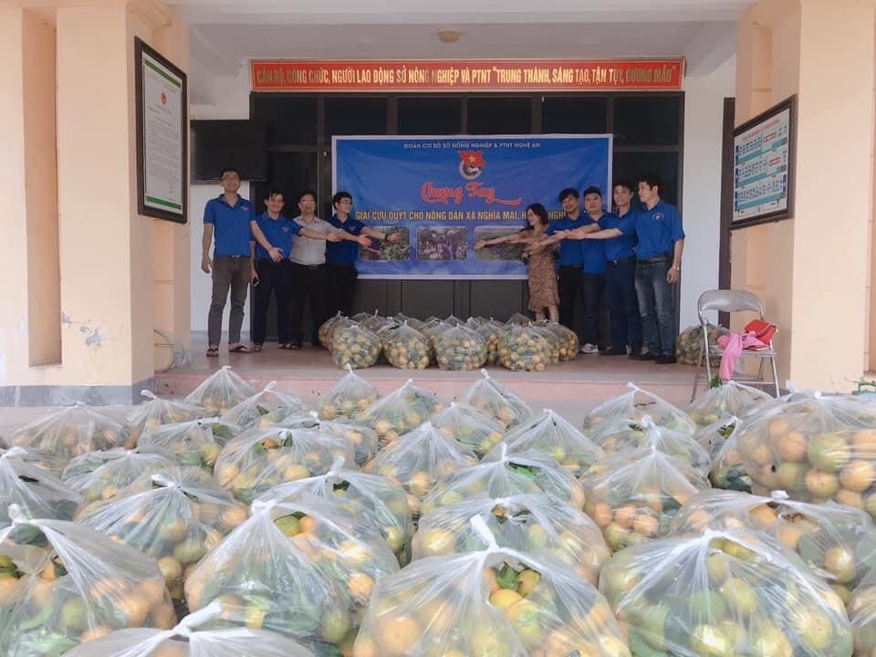 Đoàn thanh niên Trung tâm Khuyến nông Nghệ An phối hợp với Đoàn sở Nông nghiệp và Phát triển nông thôn thực hiện chương trình giải cứu quýt PQ cho nông dân tại xã Nghĩa Mai – Nghĩa Đàn.