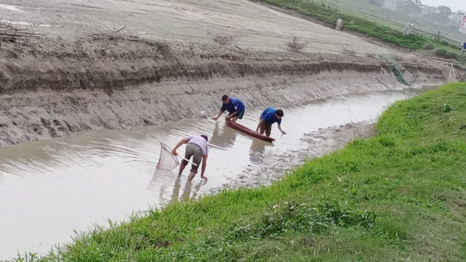 Nghệ An: Nông dân nuôi cá - lúa cho thu nhập cao