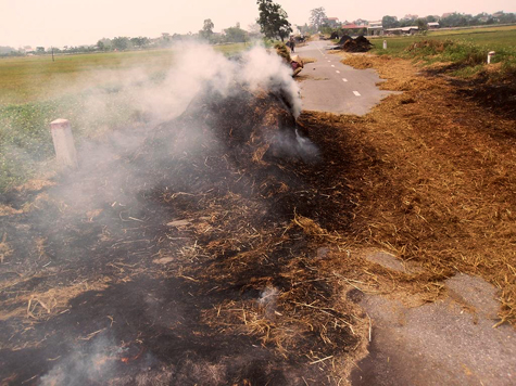 Tác hại của việc đốt rơm rạ trong mùa nắng nóng và giải pháp khắc phục