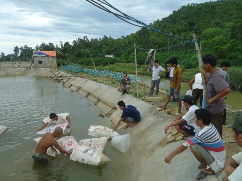 Nghệ An: Tăng cường các biện pháp phòng, chống dịch bệnh thủy sản