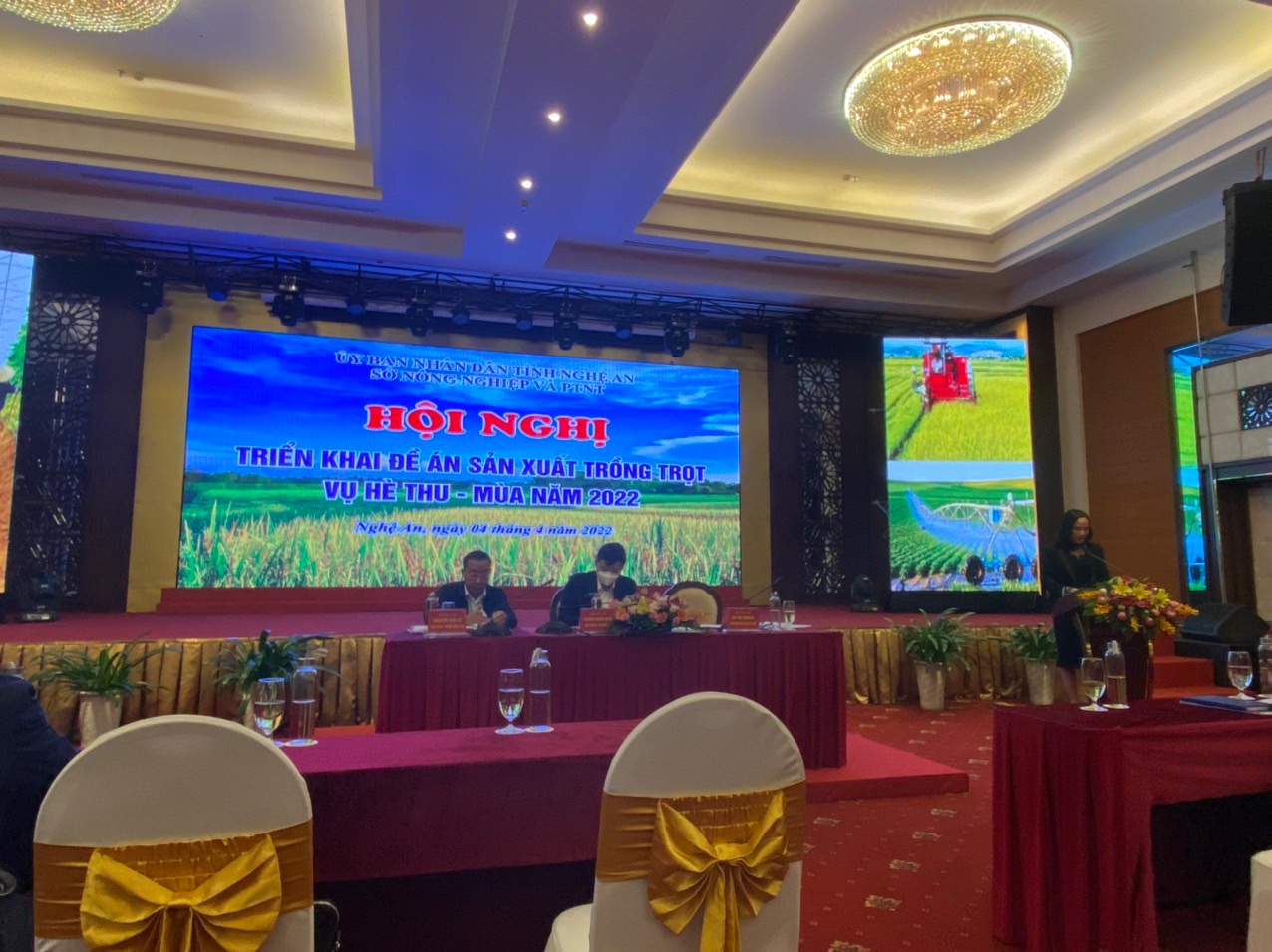 Sở Nông nghiệp và PTNT Nghệ An: Tổ chức Hội nghị triển khai Đề án sản xuất trồng trọt vụ Hè Thu, Mùa năm 2022  