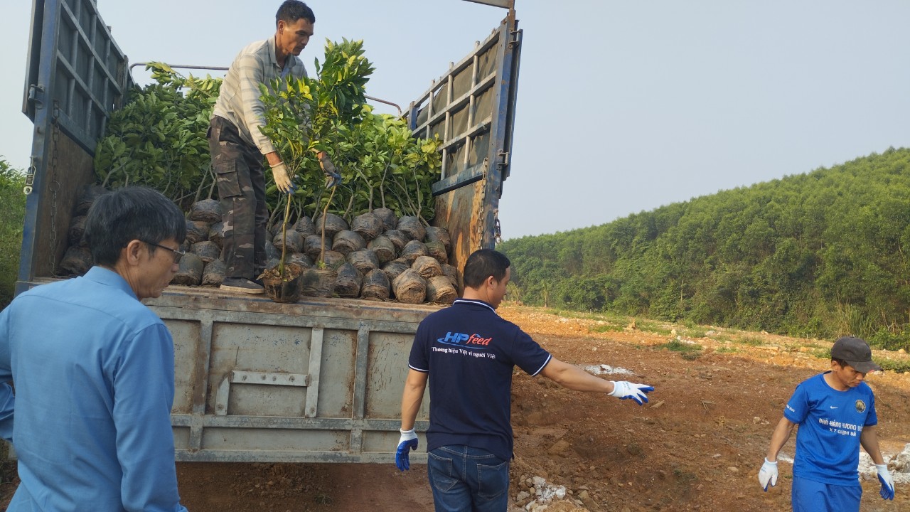Trung tâm Khuyến nông Nghệ An tổ chức giao cây giống cho mô hình “Trồng thâm canh bưởi Da Xanh”