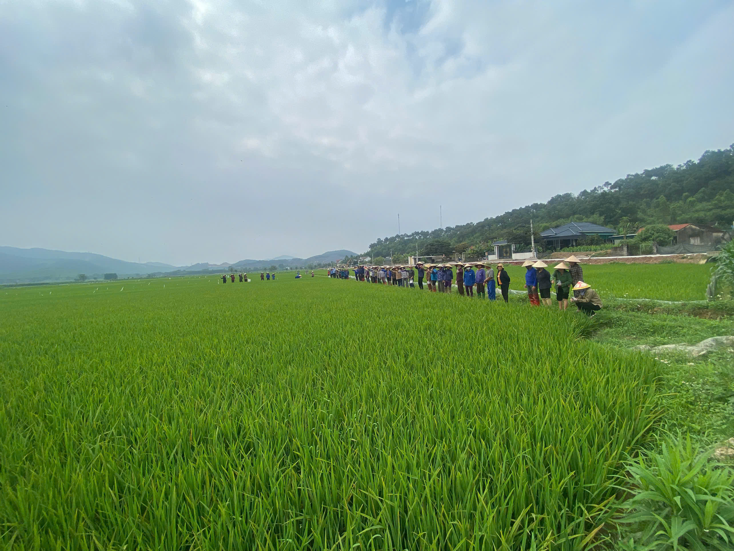 Thơ: Nghề ta yêu