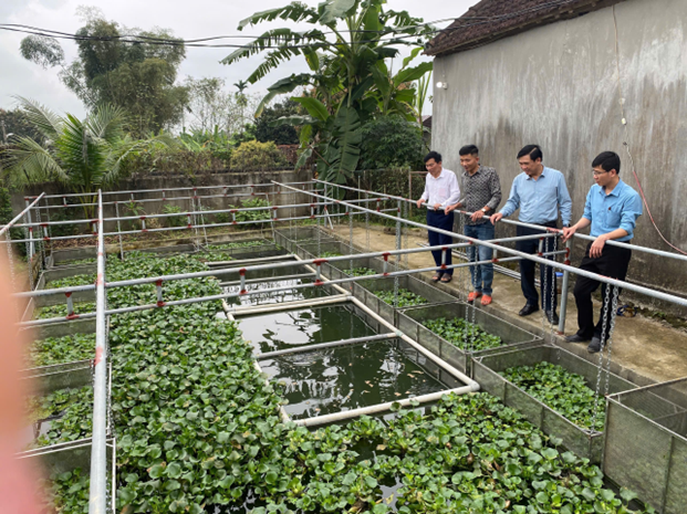 Hiệu quả mô hình nuôi lươn khép kín