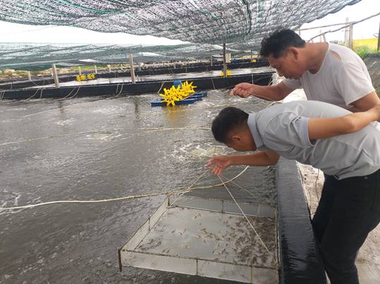 Những lưu ý khi sử dụng chế phẩm sinh học thay thế thuốc, hoá chất trong nuôi trồng thuỷ sản