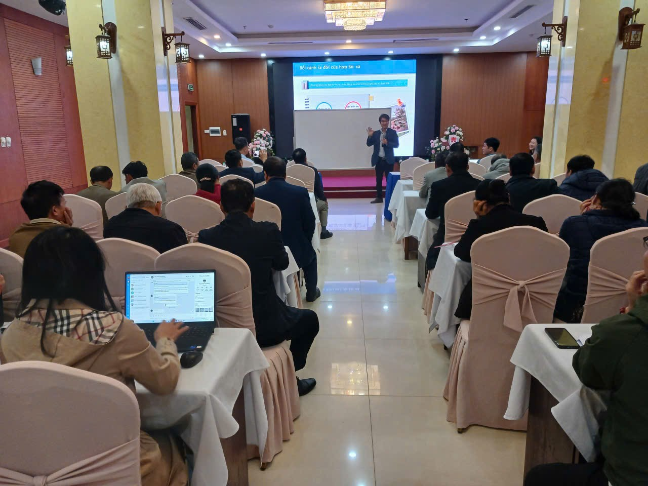 Tập huấn nâng cao năng lực về kỹ thuật canh tác và quản lý cây vừng, vận hành hợp tác xã và kết nối thị trường tại tỉnh Nghệ An