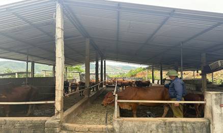 Phát triển kinh tế từ trang trại tổng hợp