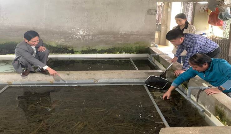 Nghiệm thu Dự án xây dựng mô hình “ Nuôi lươn thương phẩm trong bể không bùn gắn với liên kết tiêu thụ sản phẩm”