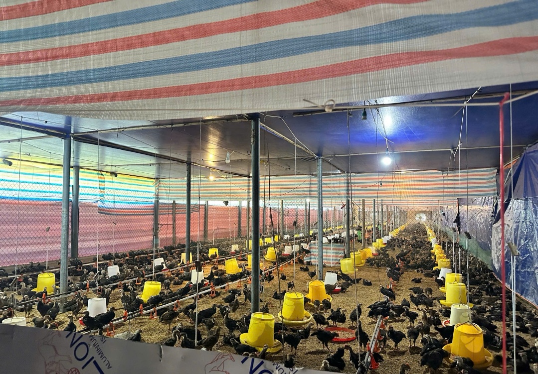 Trung tâm Khuyến nông Nghệ An: Dấu ấn hoạt động khuyến nông năm 2025 và định hướng năm 2026