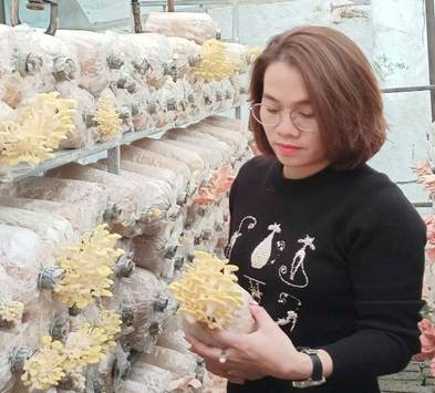 Chủ tịch hội Nông dân xã làm kinh tế giỏi