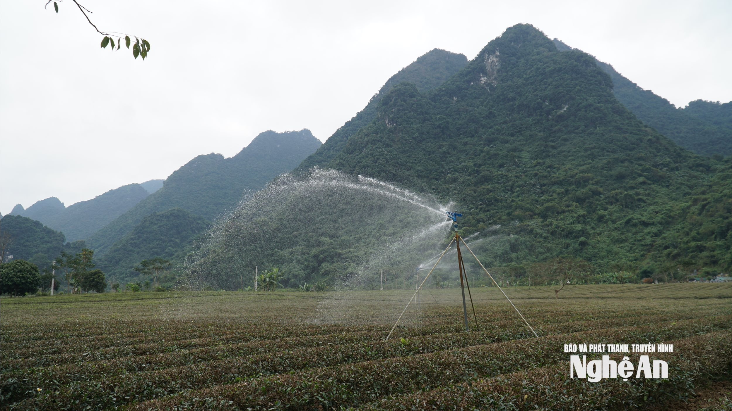 Nông dân Nghệ An ứng dụng công nghệ, nâng cao hiệu quả tưới cho cây trồng