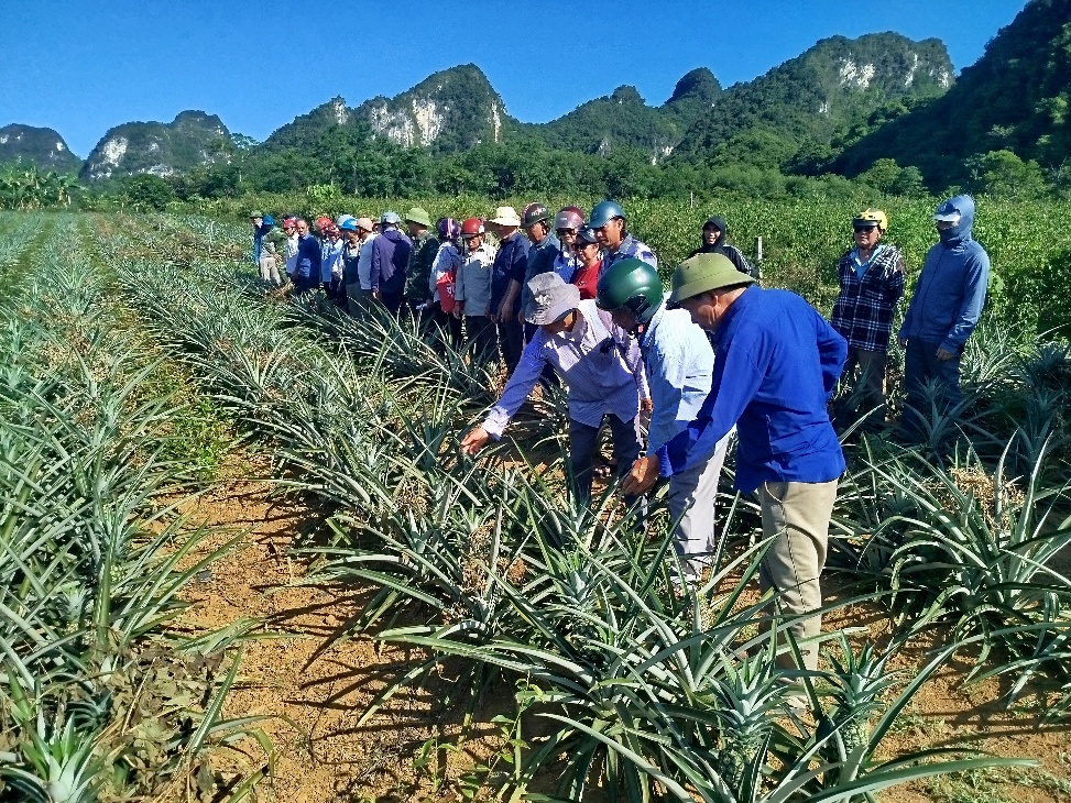 Trung tâm Khuyến nông Nghệ An tổ chức tập huấn cho cán bộ chủ chốt thôn/xóm/bản và nông dân