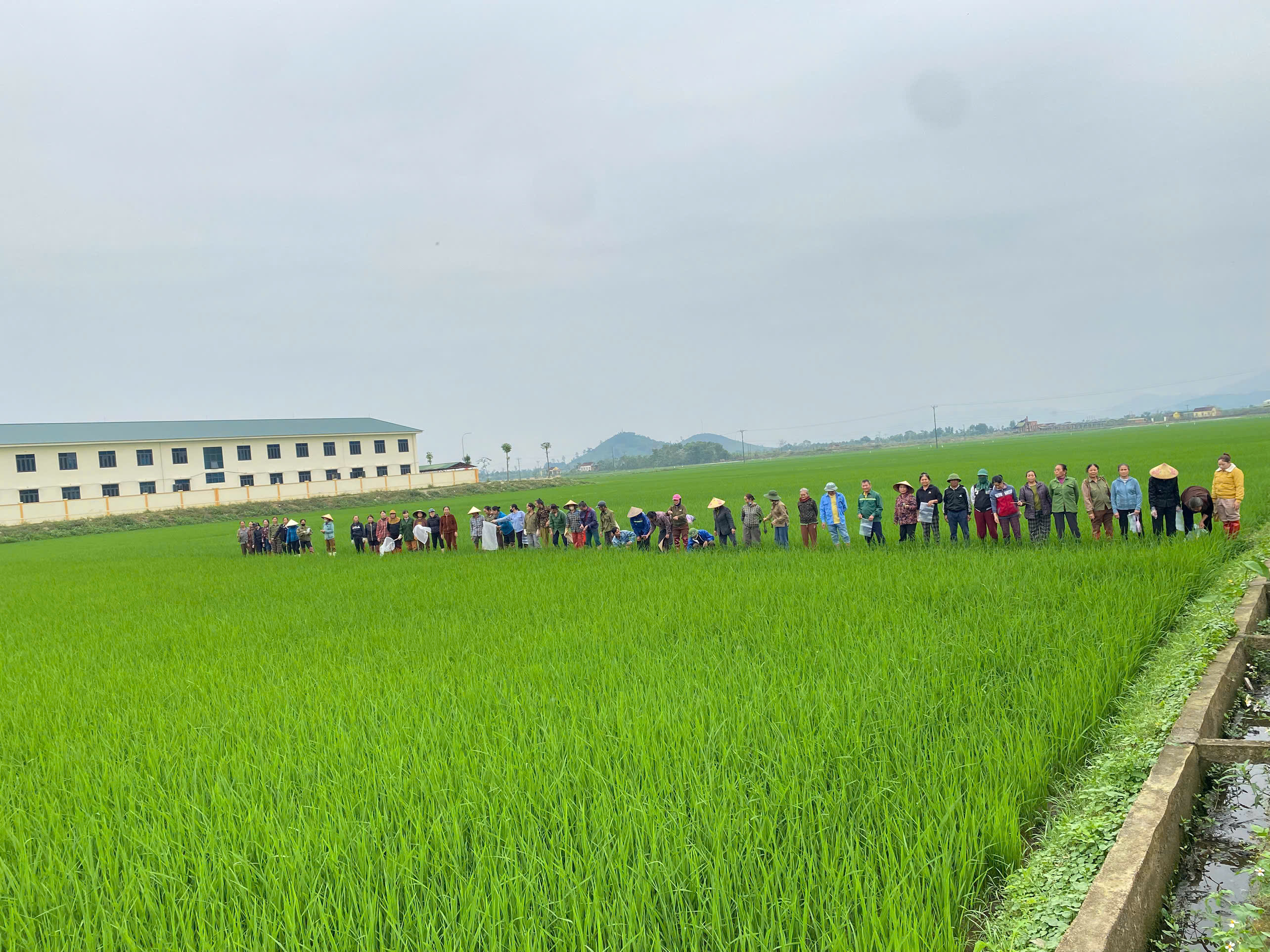 Người họa sỹ đồng quê