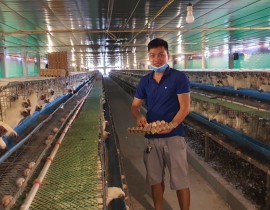 Mô hình nuôi gà ác sinh sản ở xã Nghi Văn Nghi Lộc