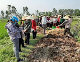 Tập huấn hiện trường:  ủ phân bón hữu cơ bằng chế phẩm sinh học cho nông dân trồng lúa tại xã Diễn Nguyên, huyện Diễn Châu