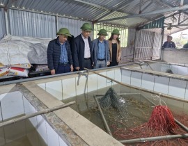 Lãnh đạo Trung tâm khuyến nông kiểm tra tiến độ mô hình Nuôi lươn thương phẩm trong bể không bùn  gắn với liên kết tiêu thụ sản phẩm