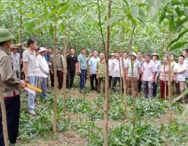 Tập huấn cho cán bộ chủ chốt năm 2024