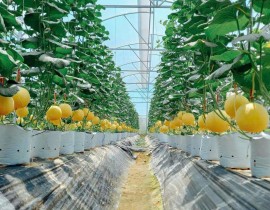 Ảnh tập san số 4 năm 2025