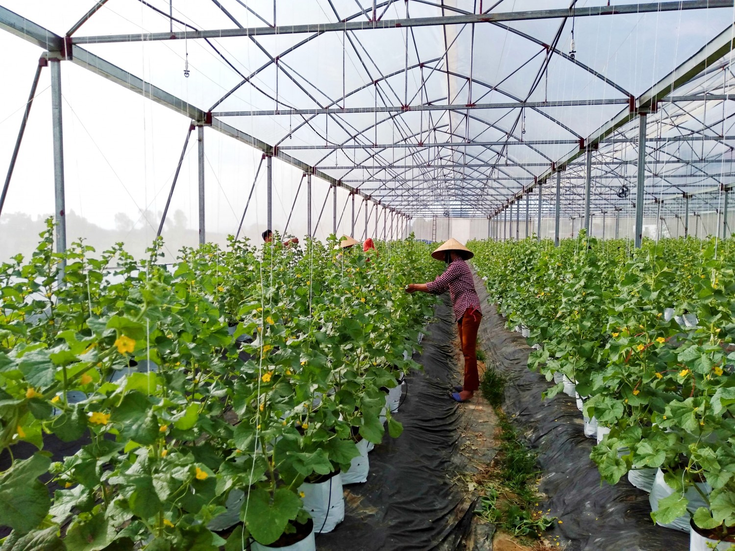 64584145 678251745932159 8581798403522953216 n