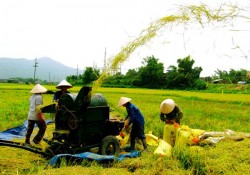 Dấu ấn nông thôn mới ở Nghệ An