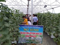 Nhìn lại hoạt động của Trạm Khuyến nông huyện Nam Đàn năm 2019