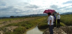 Nam Đàn triển khai mô hình chuyển đổi trồng thâm canh ổi, táo Đài Loan tại xã Trung Phúc Cường