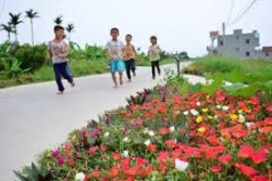 Huyện thuần nông Yên Thành đạt chuẩn nông thôn mới