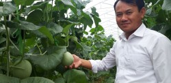 Gương sáng: Nguyễn Văn Hoành - người cán bộ nông dân sản xuất giỏi