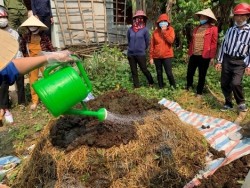 Khuyến nông Nghệ An: Kết quả hoạt động thông tin tuyên truyền