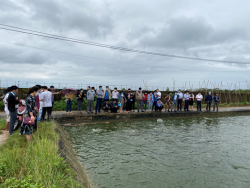 Nghệ An: Chính sách về hoạt động Khoa học và công nghệ (KH&CN) đã mang lại nhiều hiệu quả