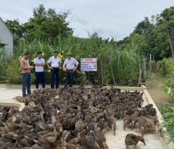    “Bà đỡ” cho các mô hình phát triển nông nghiệp ở Nghệ An