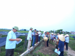 Khuyến nông Tập huấn sản xuất nông nghiệp theo tiêu chuẩn hữu cơ