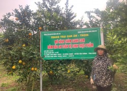 Công tác xây dựng mô hình trình diễn trong 30 năm qua của Trung tâm Khuyến nông Nghệ An