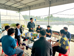 Nghiệm thu và cấp giấy chứng nhận VietGAP cho hộ dân tham gia dự án nuôi tôm thẻ chân trắng tại Nghệ An
