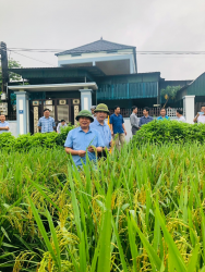 Hội thảo đánh giá kết quả mô hình trình diễn giống lúa Hạt vàng 36 tại huyện Yên Thành