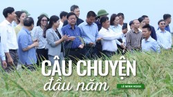 Câu chuyện đầu năm