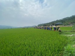Thơ: Nghề ta yêu