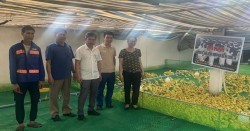Trung tâm Khuyến nông Nghệ An: Tổ chức giao giống và thức ăn hỗn hợp thực hiện mô hình “Chăn nuôi vịt (giống Cherry) thương phẩm trên nền chuồng sàn”
