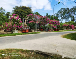 Thành phố Vinh: Phát triển các mô hình nông nghiệp giữa lòng đô thị