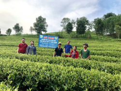 Trung tâm Khuyến nông Nghệ An triển khai thực hiện đề án sản xuất nông nghiệp hữu cơ