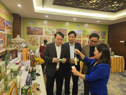 Khởi nghiệp thành công từ trồng cây dược liệu