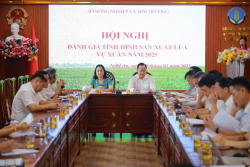 Sở Nông nghiệp và Môi trường tổ chức hội nghị đánh giá sản xuất lúa vụ xuân năm 2025