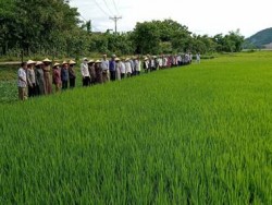Kết quả thực hiện chương trình Khuyến nông giai đoạn 2021 - 2025