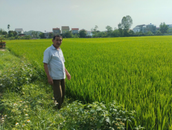 Gương cựu chiến binh làm nông nghiệp giỏi