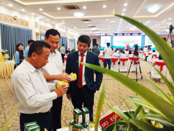 Khuyến nông Nghệ An chuyển từ hỗ trợ kỹ thuật sang kiến tạo giá trị