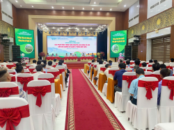 Diễn đàn Khuyến nông @ Nông nghiệp với chủ đề: “Giải pháp phát triển vùng nguyên liệu rừng gỗ lớn gắn với chứng chỉ quản lý rừng bền vững”