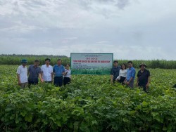 Khuyến nông Nghệ An - 32 năm xây dựng và phát triển