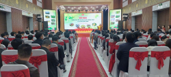 Nghệ An: Triển khai Đề án Sản xuất Trồng trọt vụ Xuân năm 2026